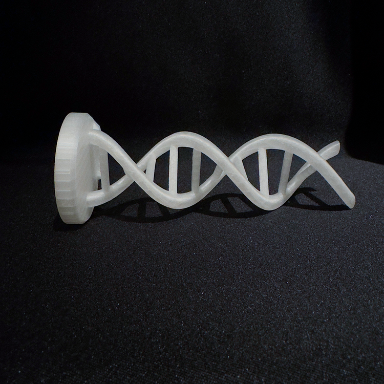 DNA Sarmalı Figürü - Bilim ve Estetiğin Buluşması