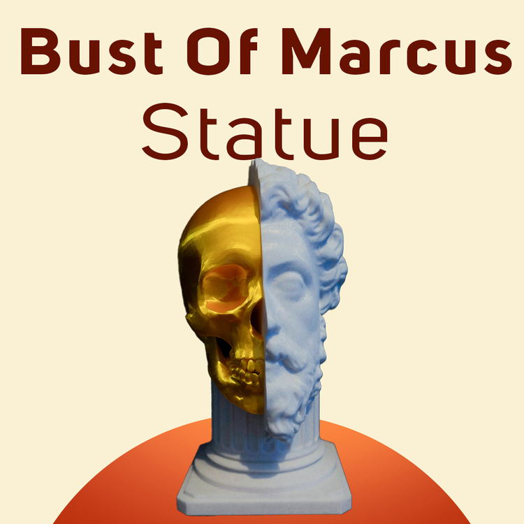 Bust of Marcus Statue