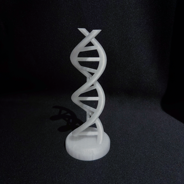 DNA Sarmalı Figürü - Bilim ve Estetiğin Buluşması