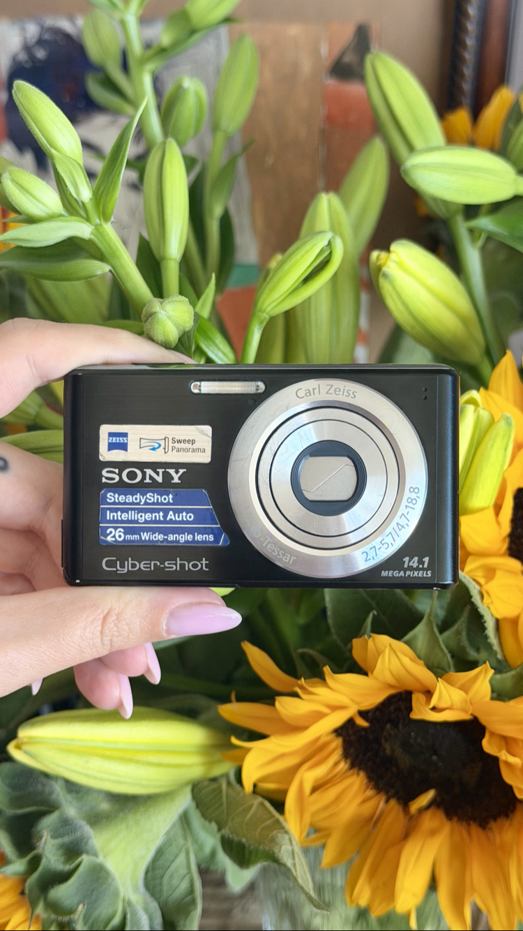 Sony Cybershot DSC W530