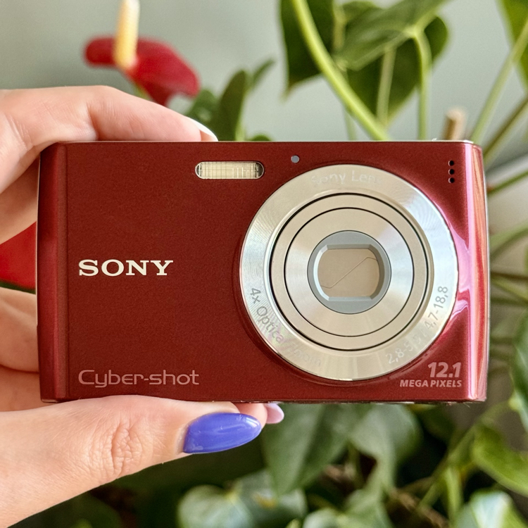 Sony Cybershot DSC W510