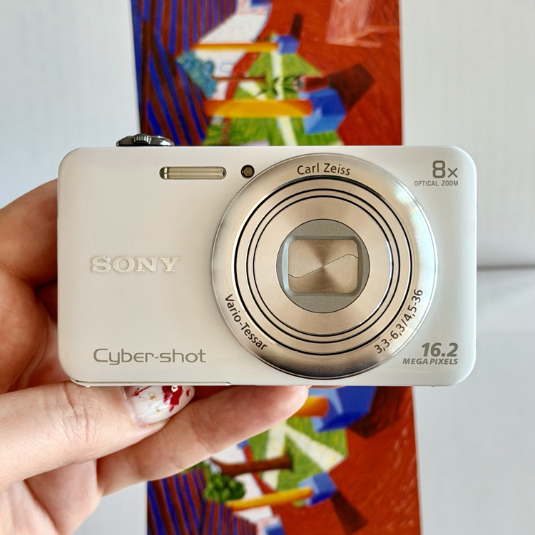 Sony Cybershot DSC WX60