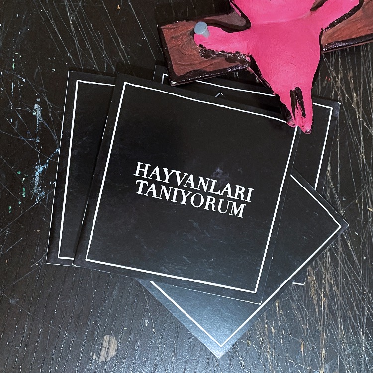 Hayvanları Tanıyorum