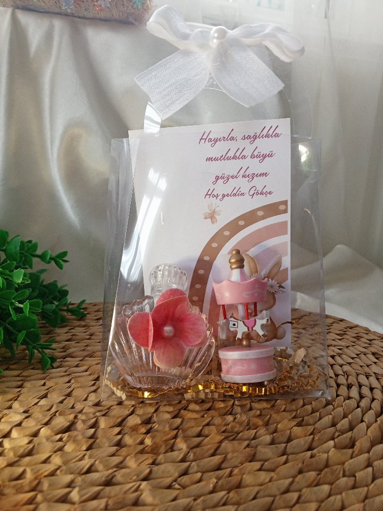 Paket Atlı Karınca Adet fiyatı
