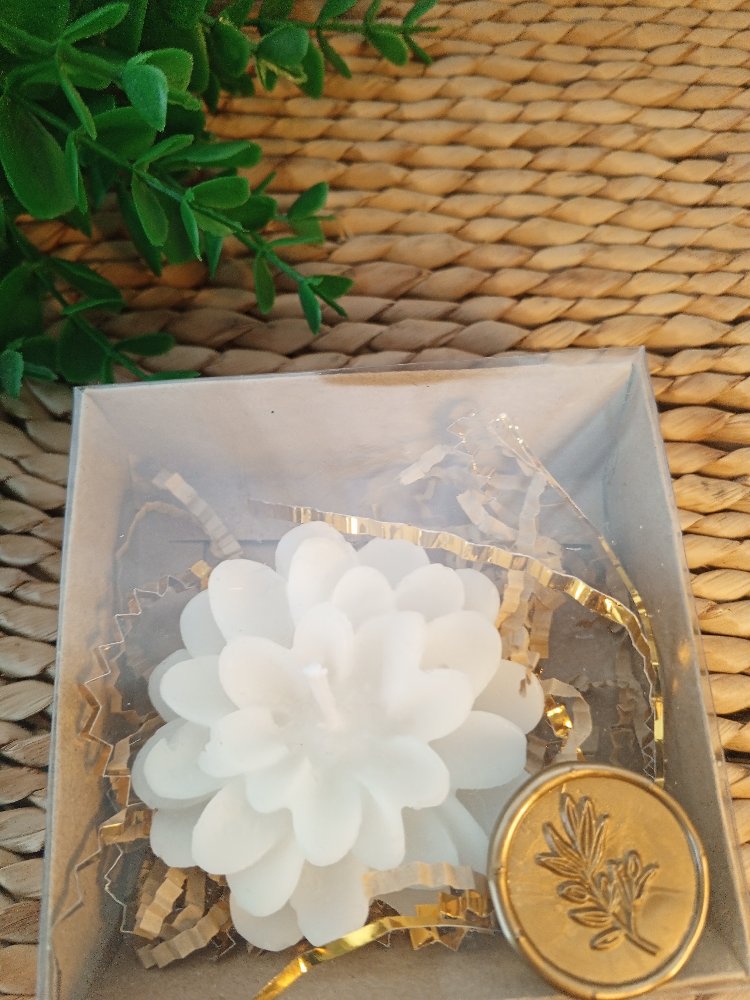 Kutulu Mum Adet Fiyatı