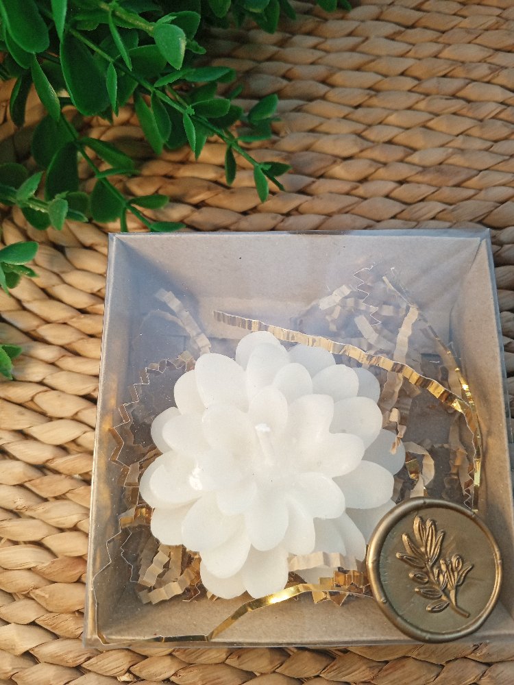 Kutulu Mum Adet Fiyatı