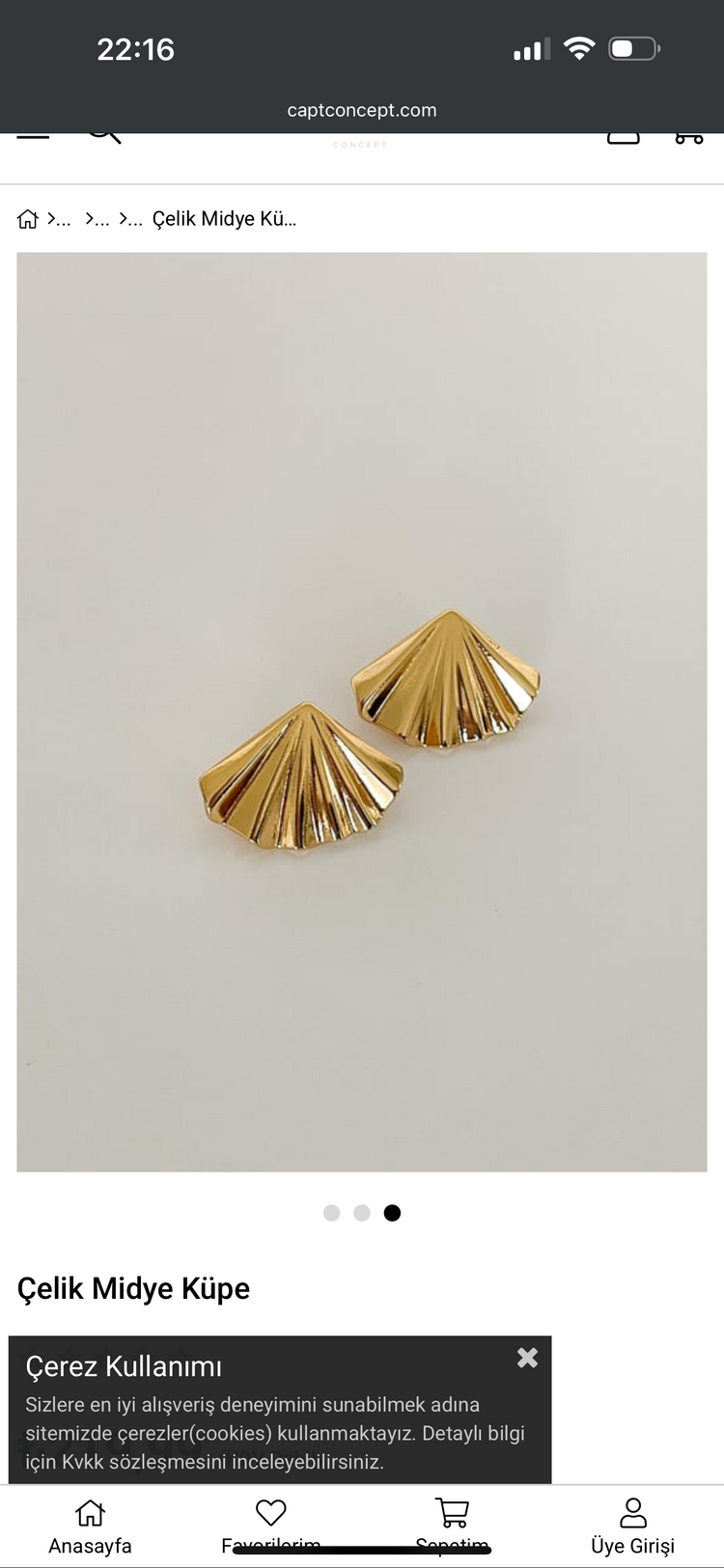 Yelpaze çelik gold küpe