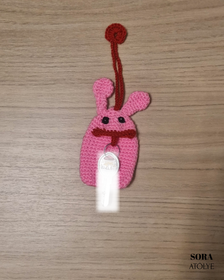 Fosforlu Pembe Anahtar Yutan
