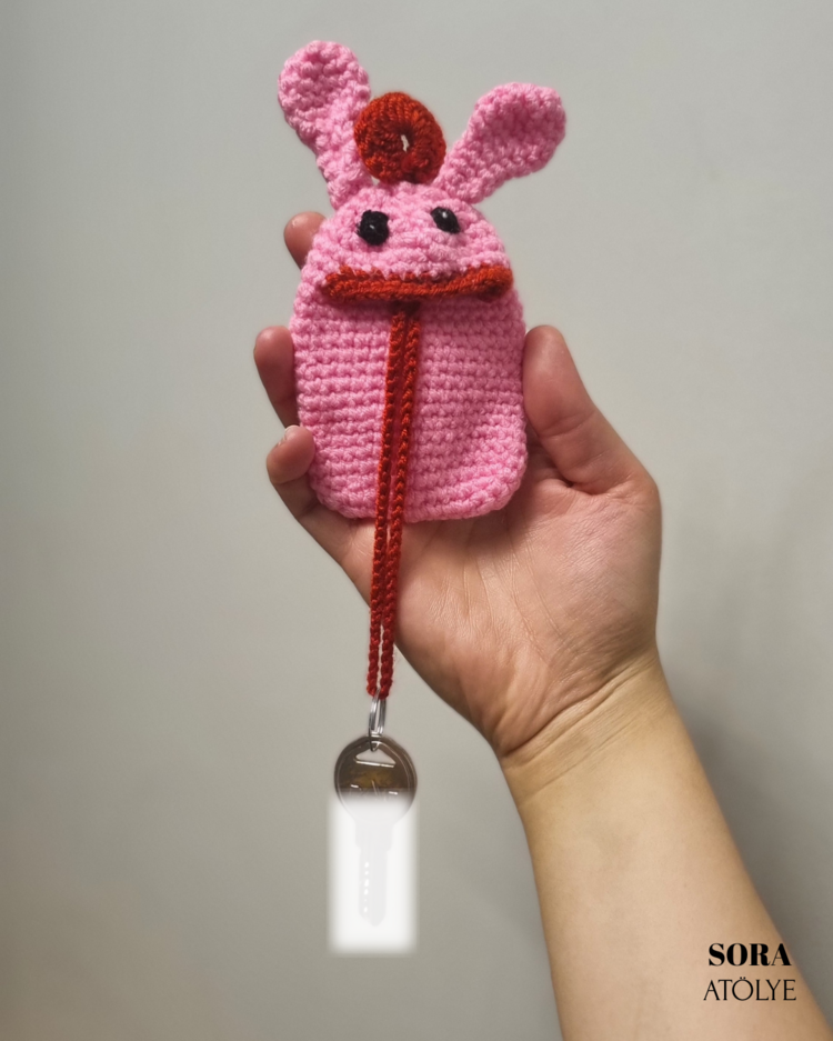 Fosforlu Pembe Anahtar Yutan
