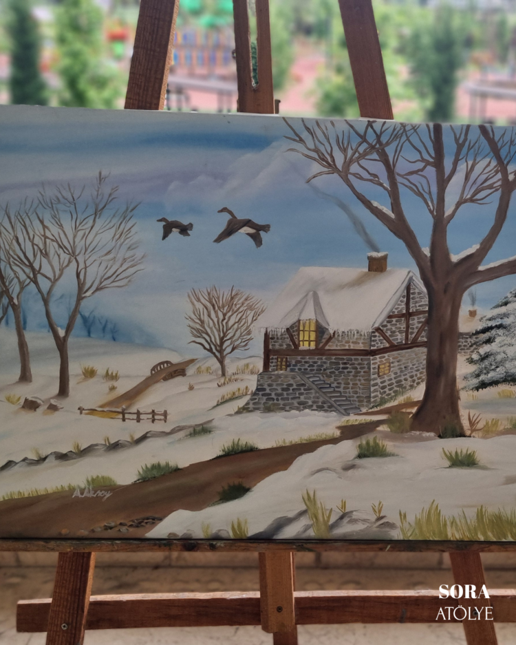 Karlı Dağ Evi