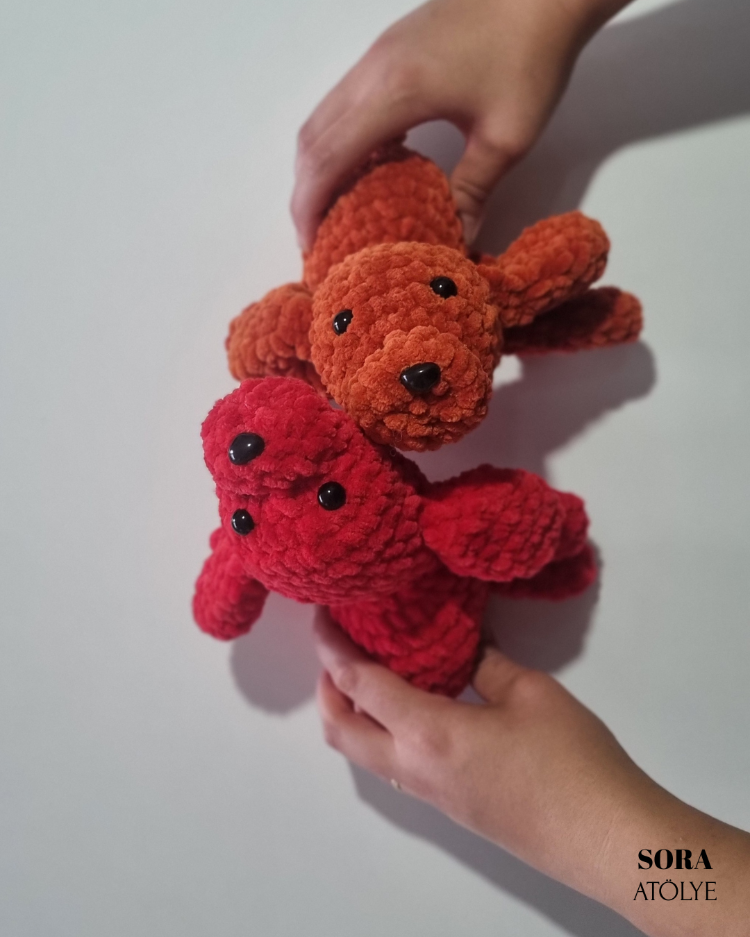 Büyük Renkli Uykulu Köpek 