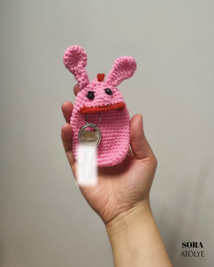 Fosforlu Pembe Anahtar Yutan
