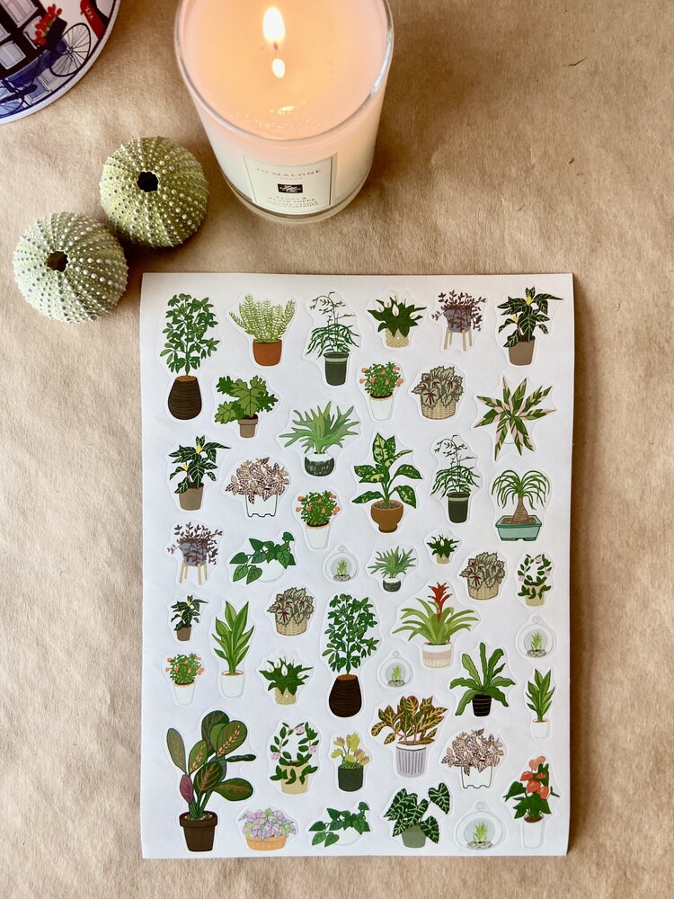 Renkli stickerlar Yeşil yapraklı,saksı bitkileri