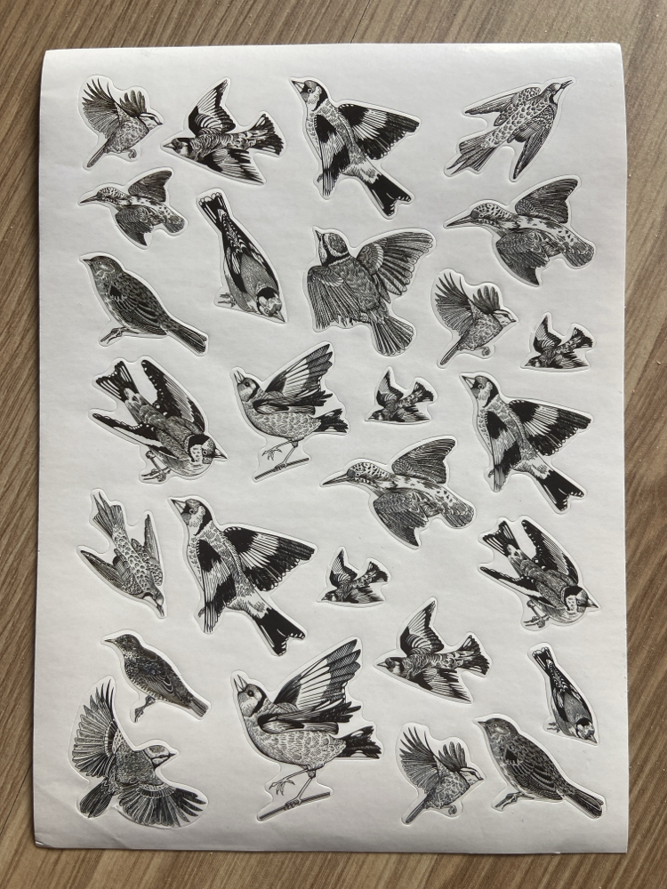 Siyah beyaz farklı temalı stickerlar