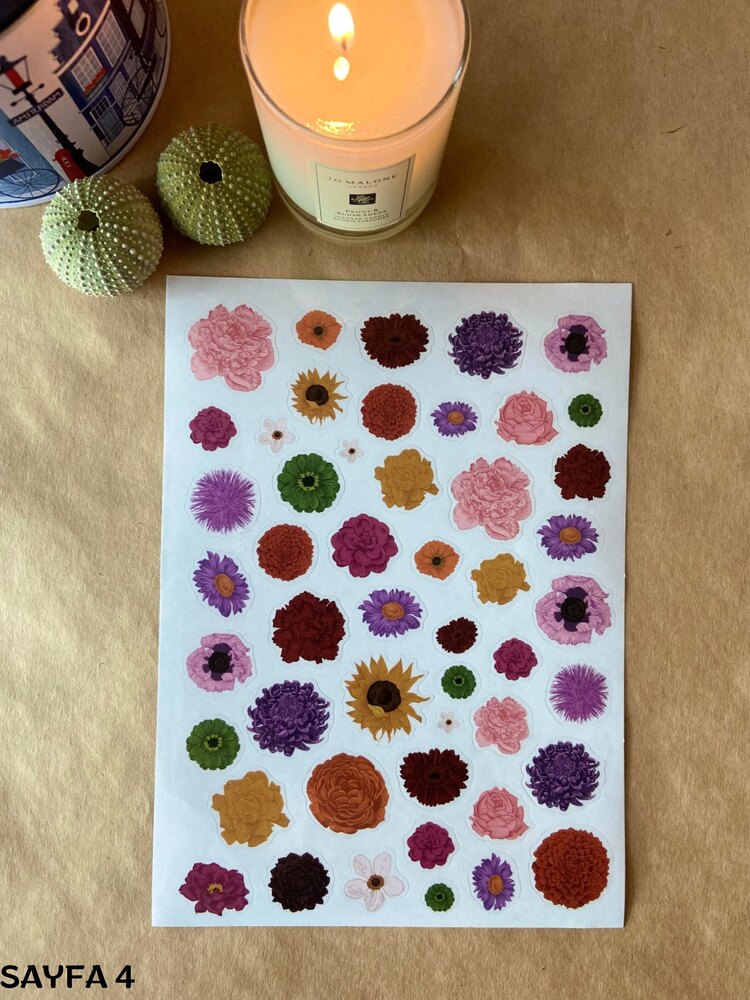 Şeffaf Stickerlar