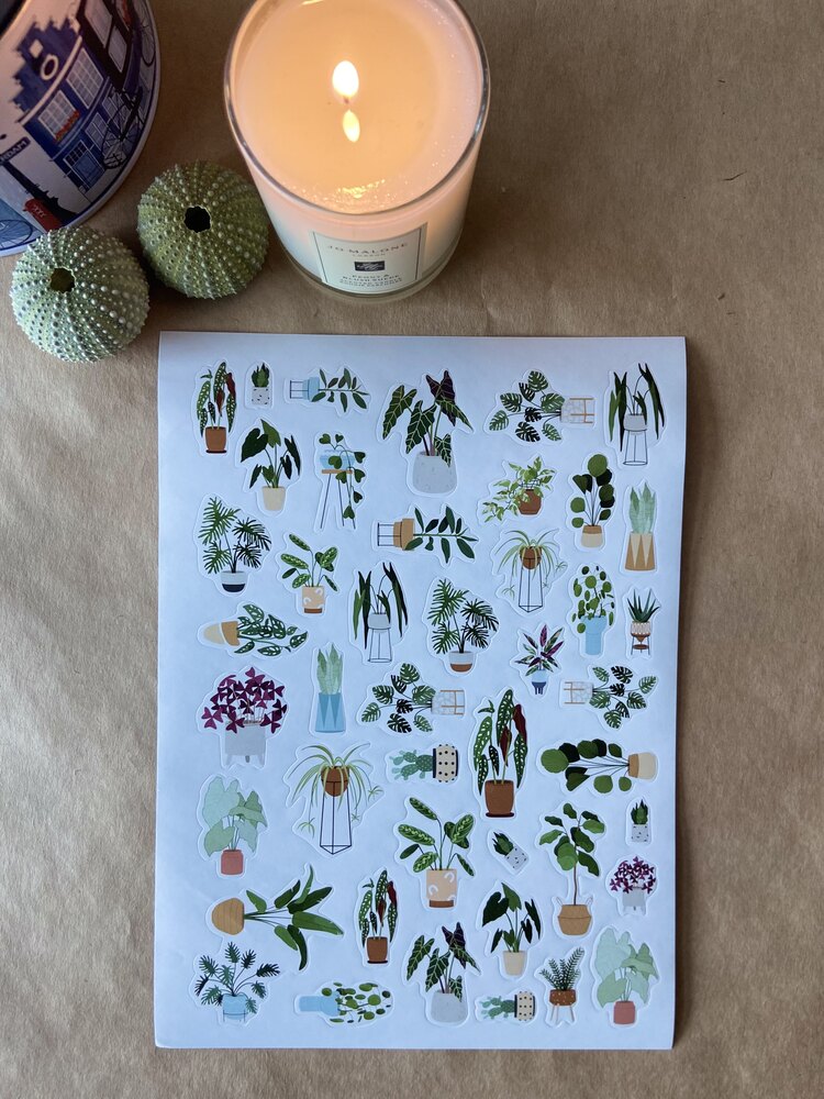 Renkli stickerlar Yeşil yapraklı,saksı bitkileri