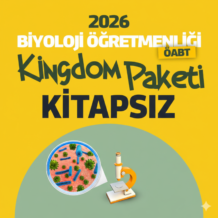 KİNGDOM PAKETİ (KİTAPSIZ)