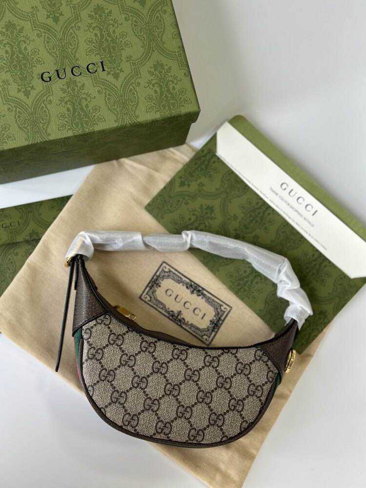 Gucci Luxury BAG (Premium)