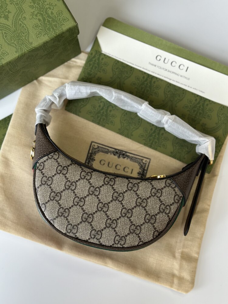 Gucci Luxury BAG (Premium)
