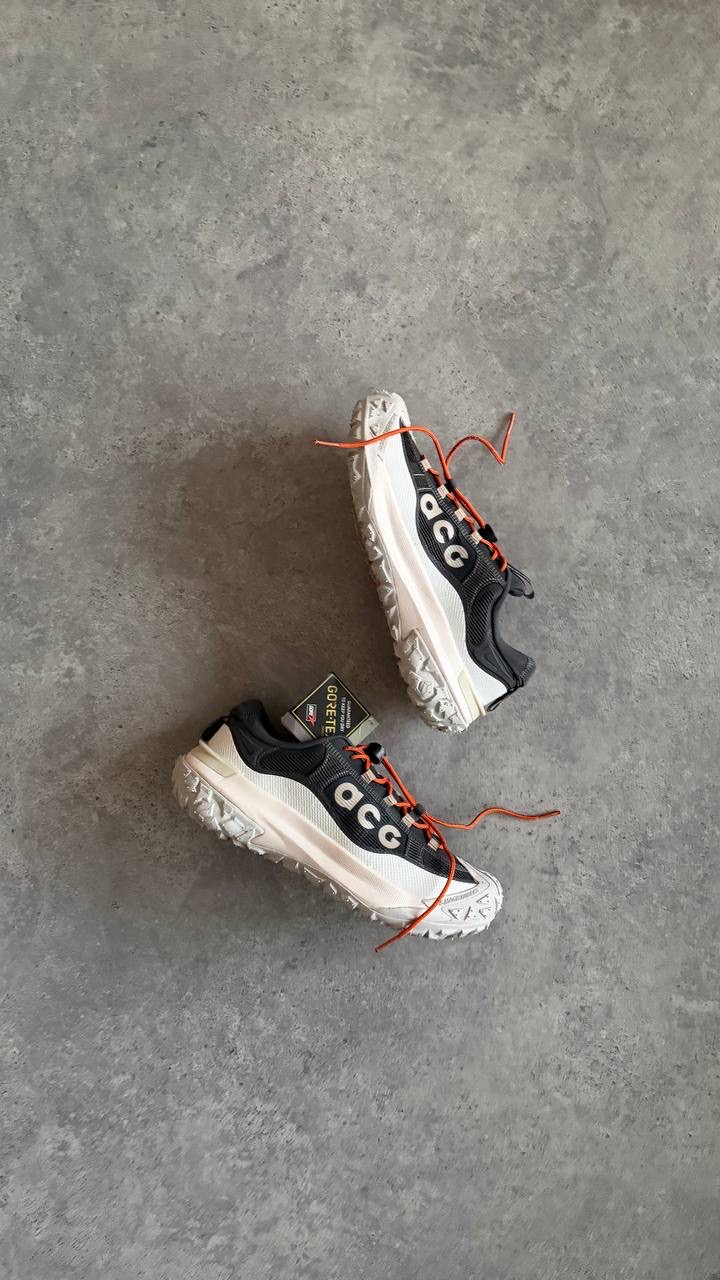 ACG MOUNTAIN FLY 2 LOW Goretex Grey 