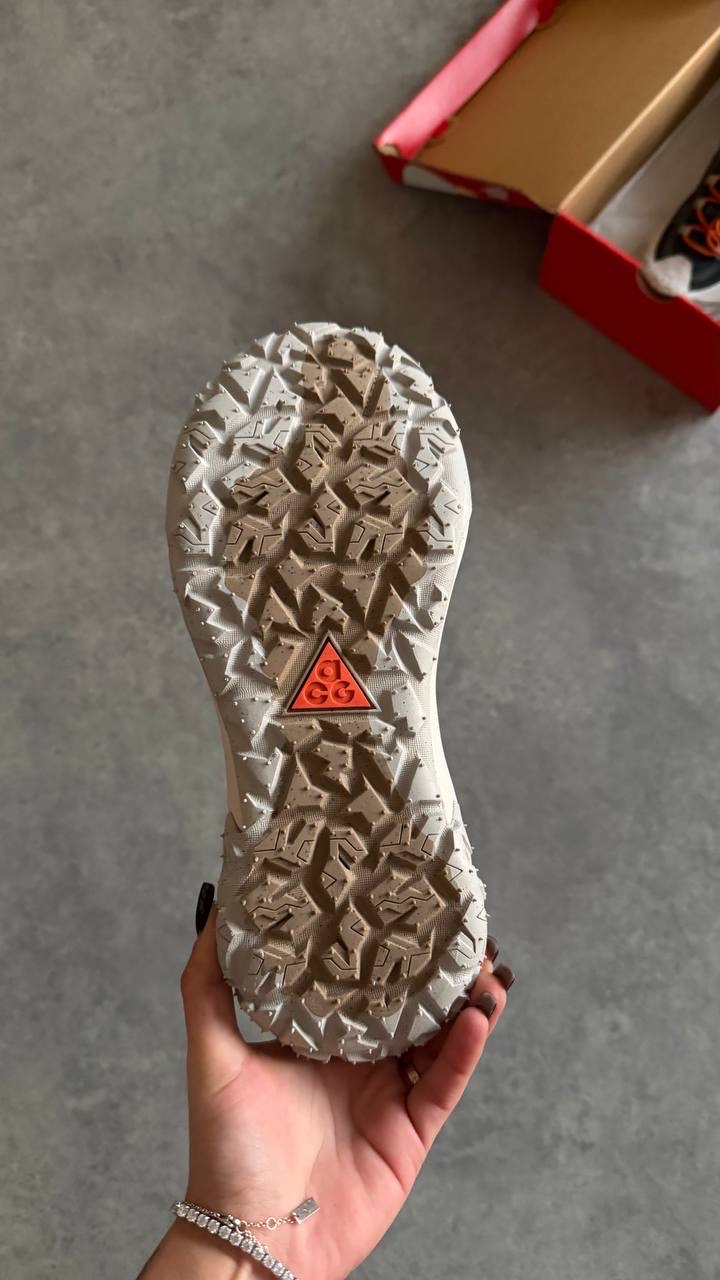 ACG MOUNTAIN FLY 2 LOW Goretex Grey 