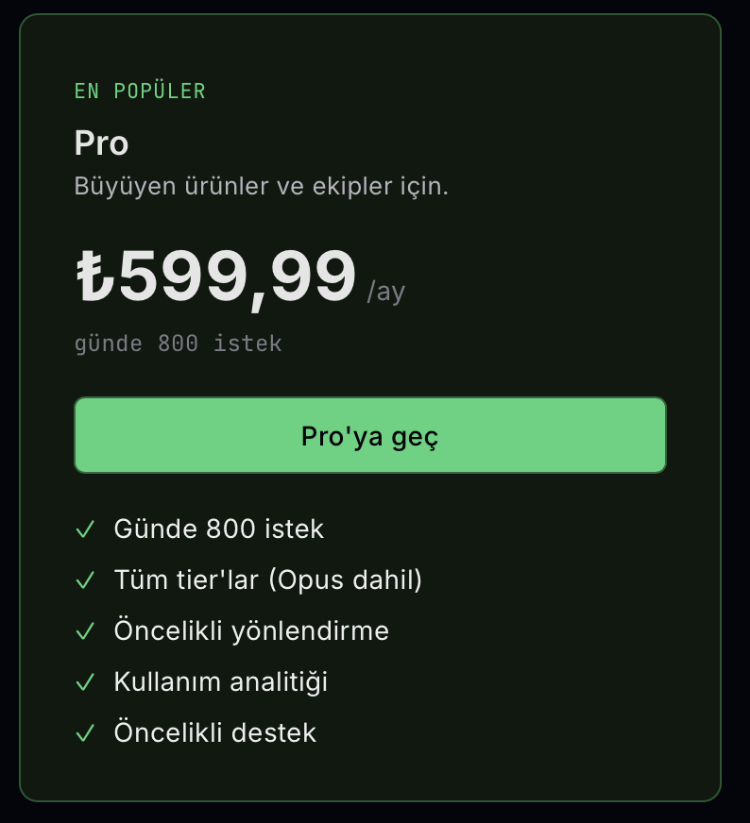 RelayLM Pro Paket