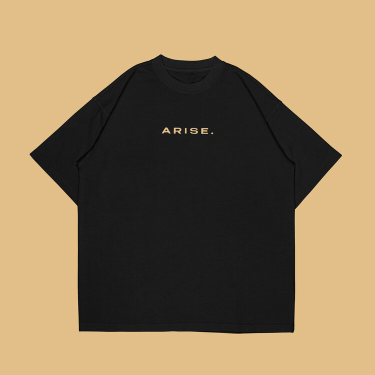 Solo Leveling Arise Y T-Shirt / Oversize