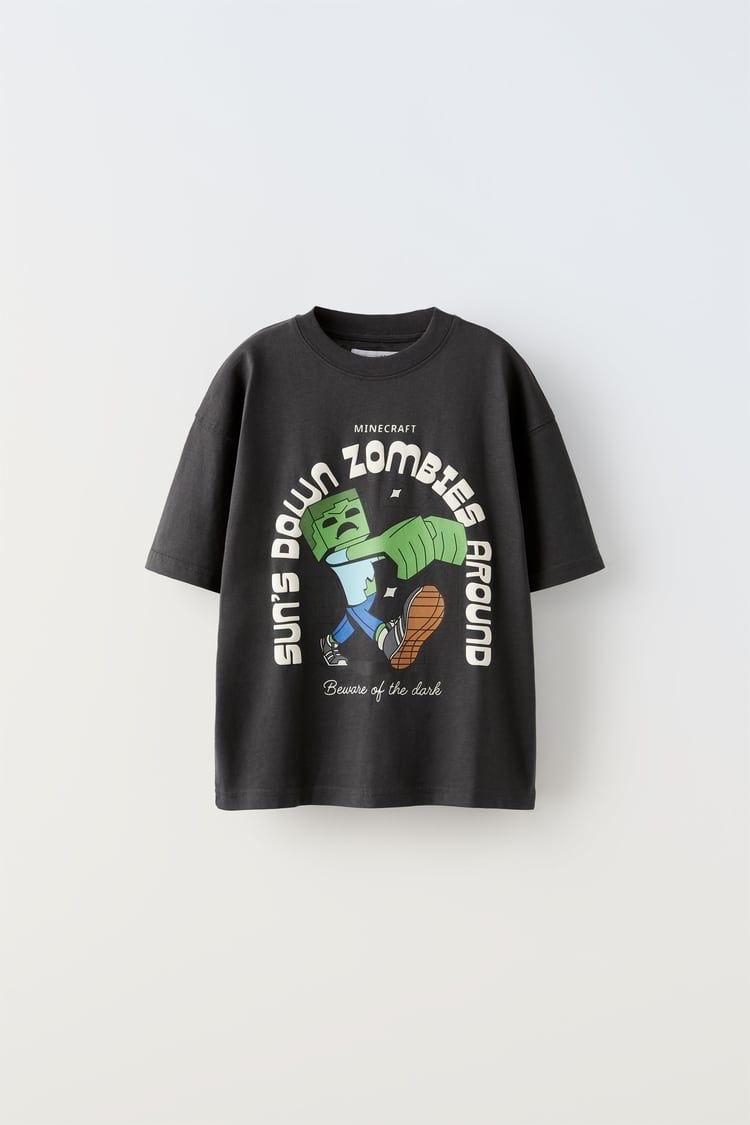 Zara minecraft takım