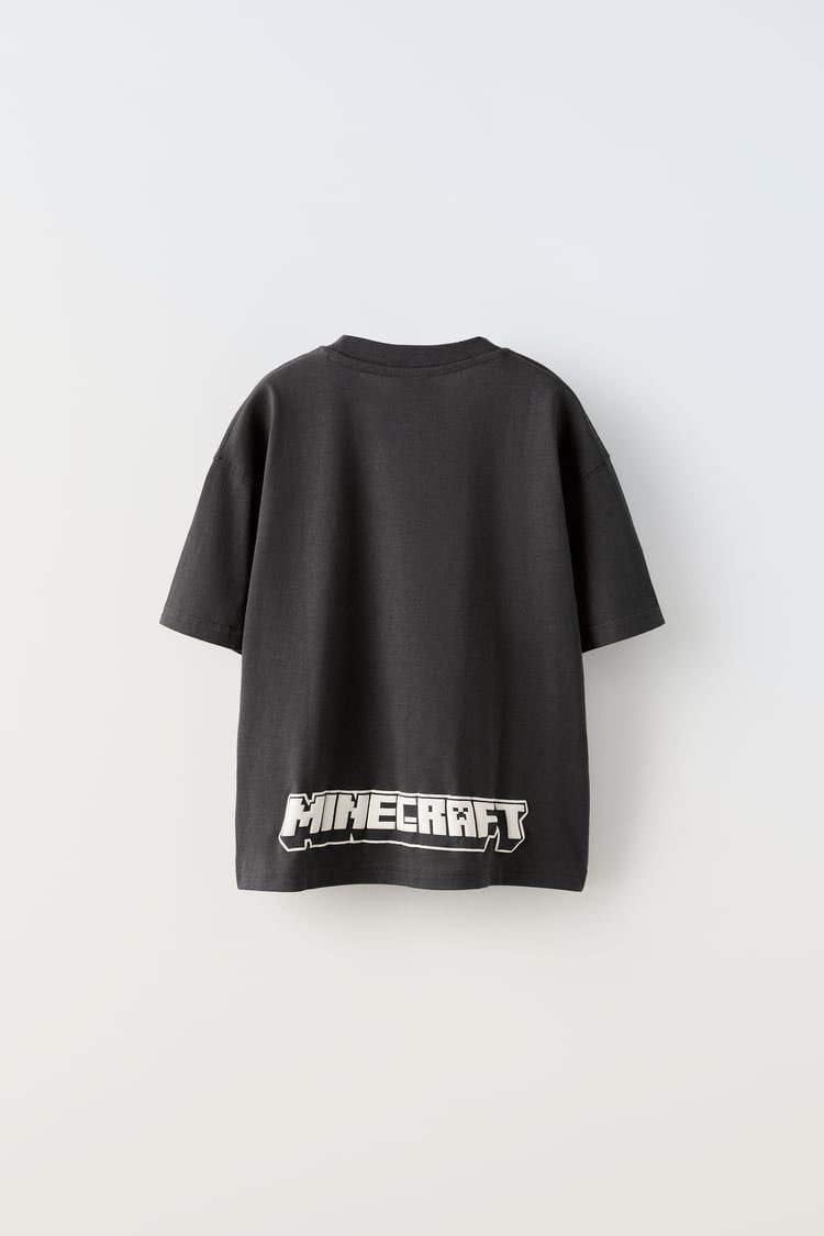 Zara minecraft takım