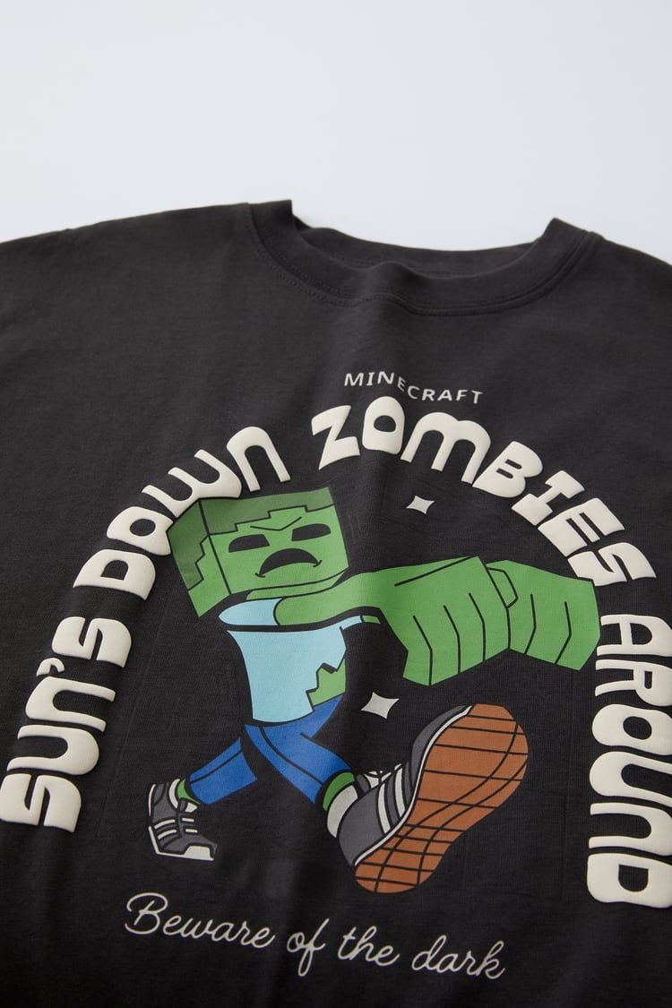 Zara minecraft takım