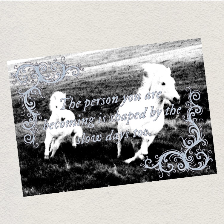 slow days postcard