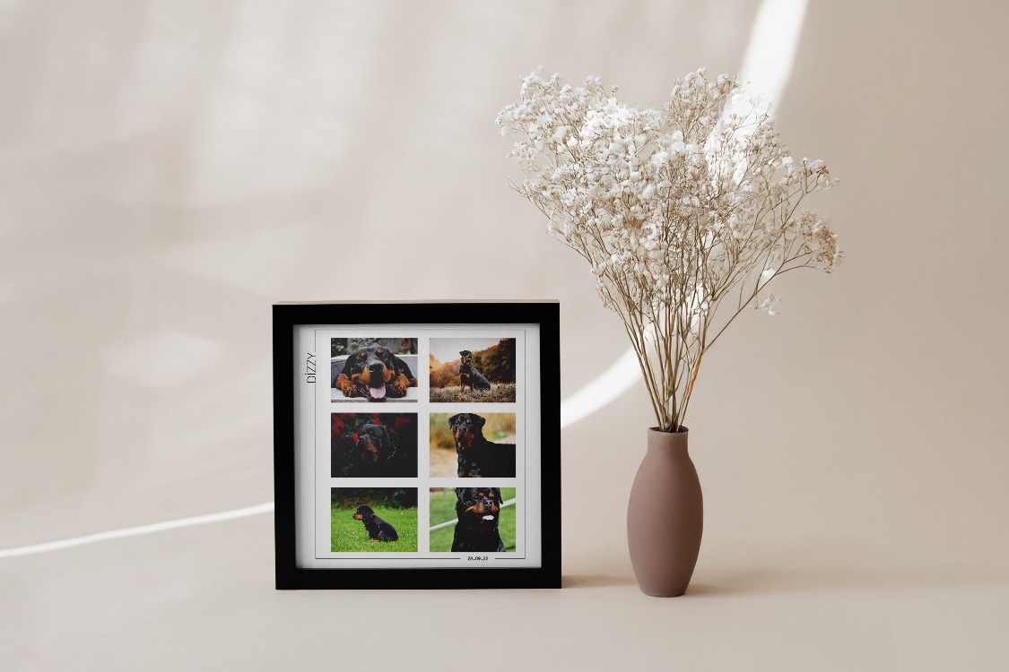 Kişiye Özel Pet Kolaj Tablo | Minimal Köpek Tablosu | Fotoğraflı Evcil Hayvan Tablo