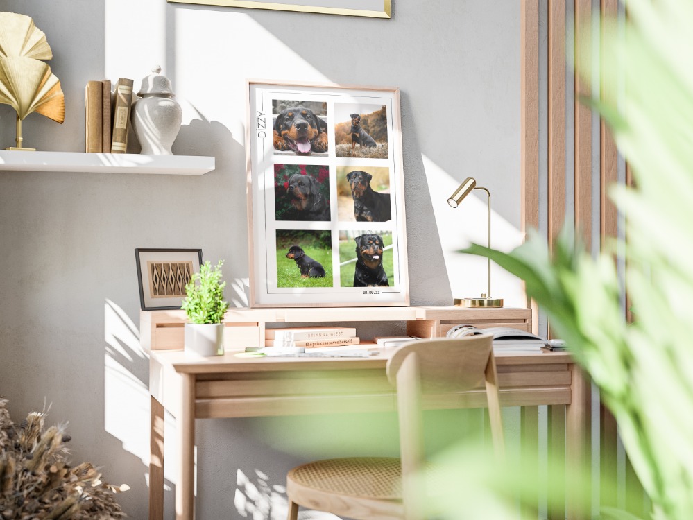Kişiye Özel Pet Kolaj Tablo | Minimal Köpek Tablosu | Fotoğraflı Evcil Hayvan Tablo