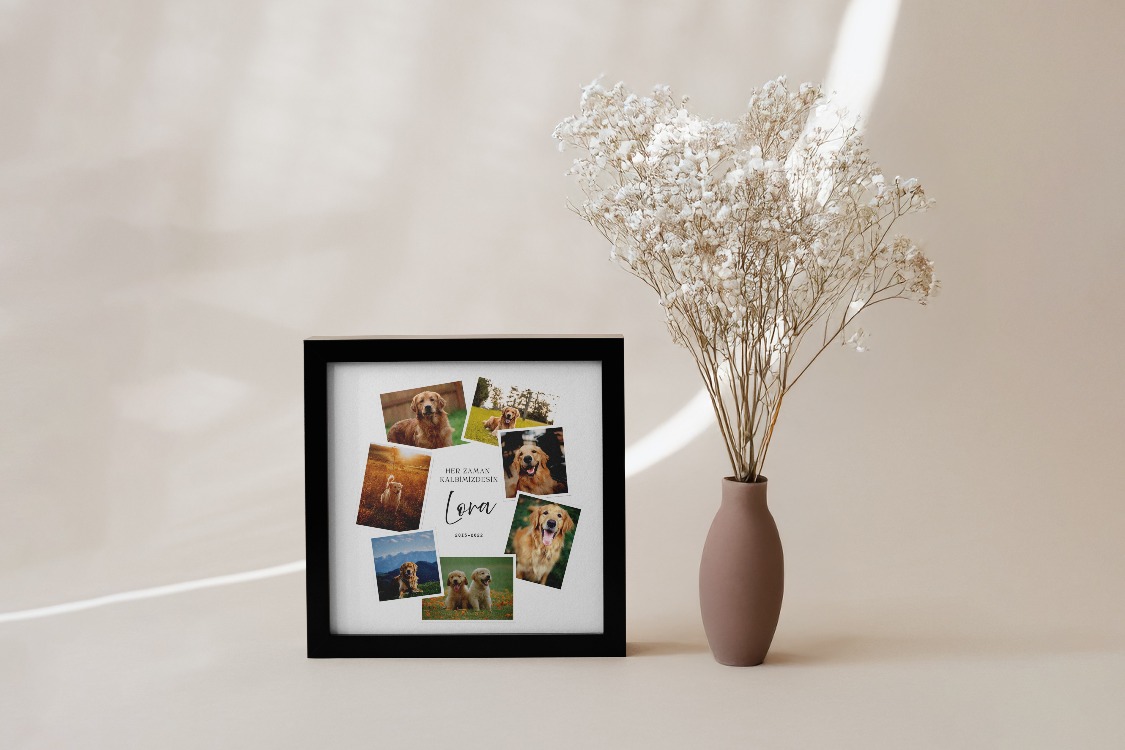 Kişiye Özel Polaroid Evcil Hayvan Posteri | Fotoğraf Koleksiyonlu Kedi & Köpek Tasarımı