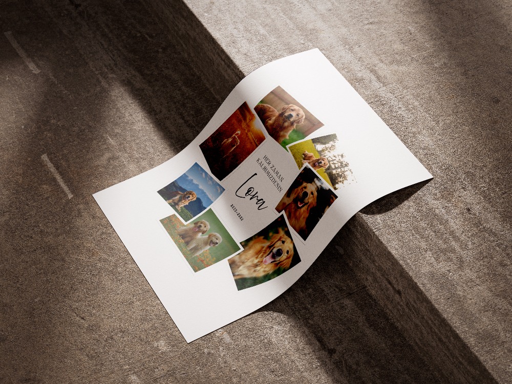Kişiye Özel Polaroid Evcil Hayvan Posteri | Fotoğraf Koleksiyonlu Kedi & Köpek Tasarımı