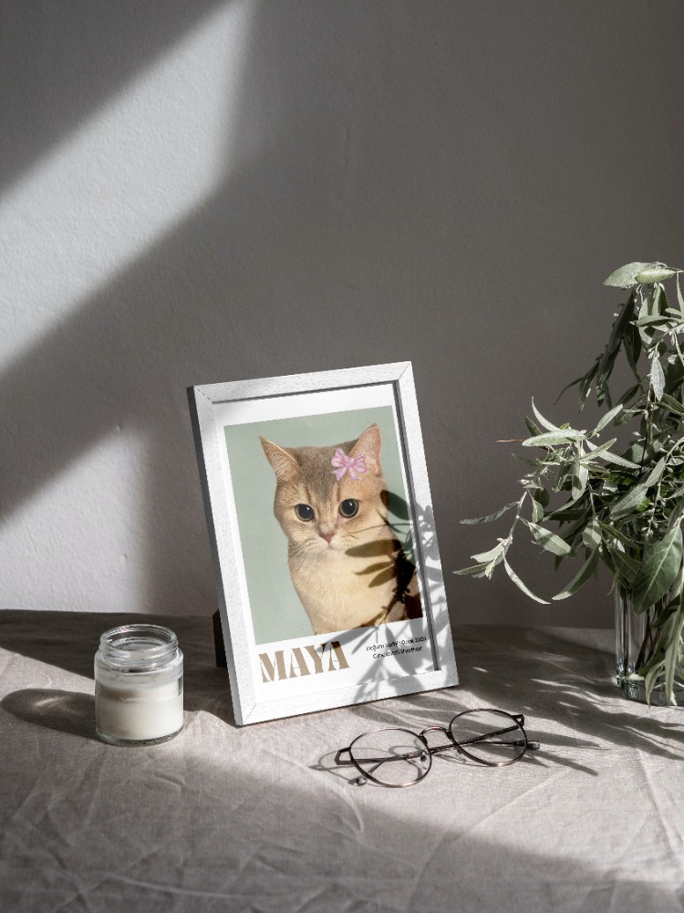 Kişiye Özel Kedi Portre Posteri | Minimal Tek Foto Evcil Hayvan Tasarımı