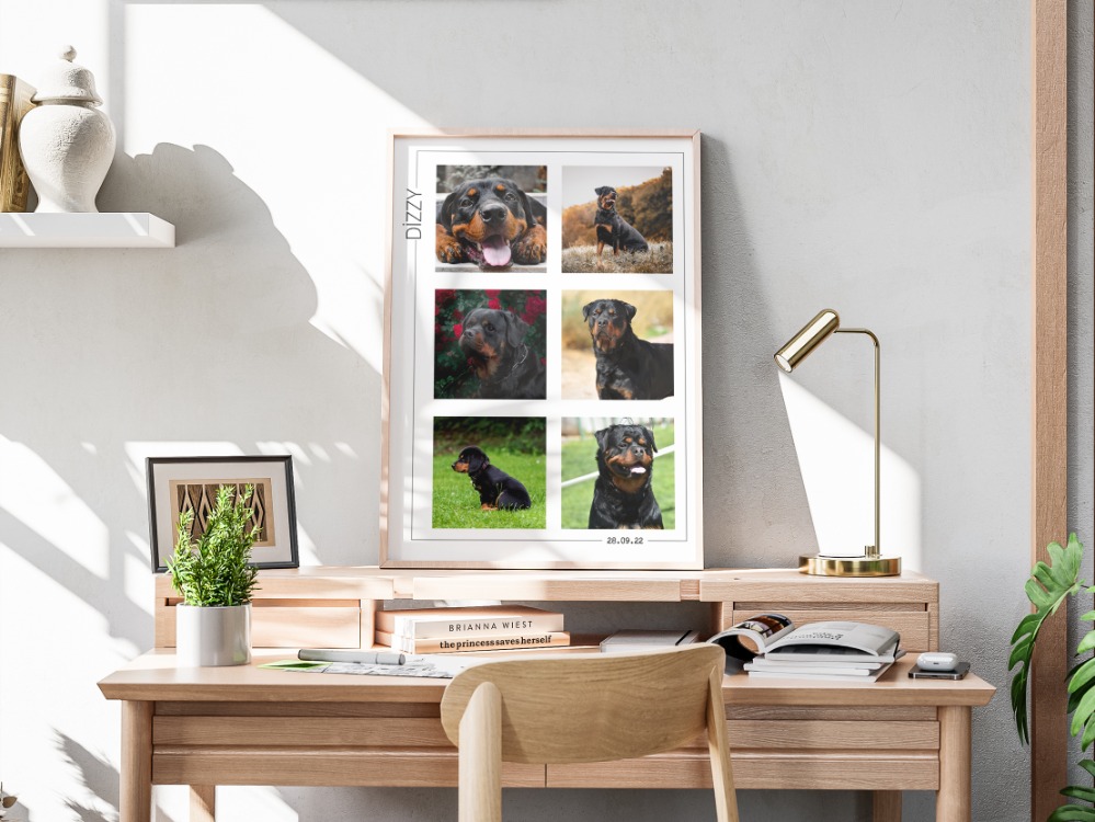 Kişiye Özel Pet Kolaj Tablo | Minimal Köpek Tablosu | Fotoğraflı Evcil Hayvan Tablo