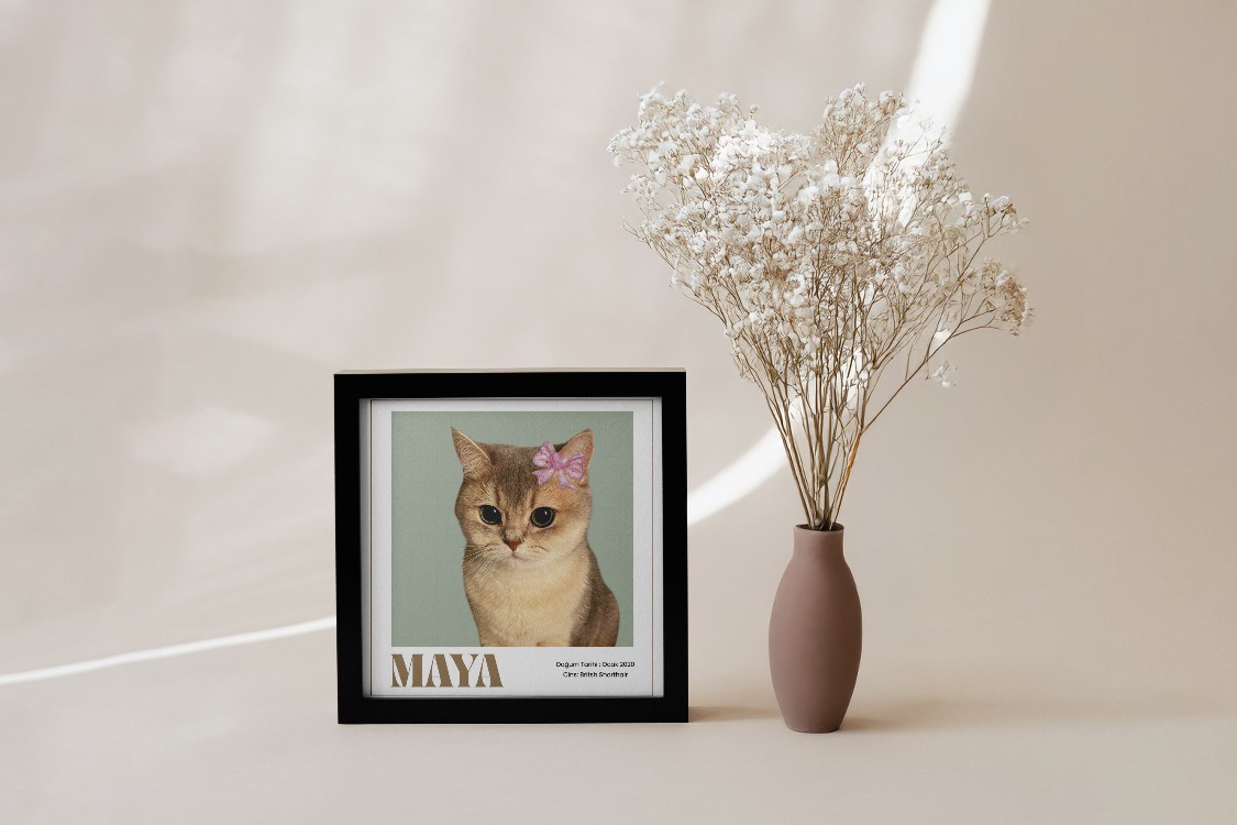 Kişiye Özel Kedi Portre Posteri | Minimal Tek Foto Evcil Hayvan Tasarımı
