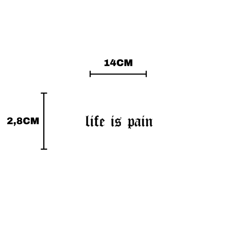 LIFE IS PAIN "hayat acıdır" Vizör Sticker