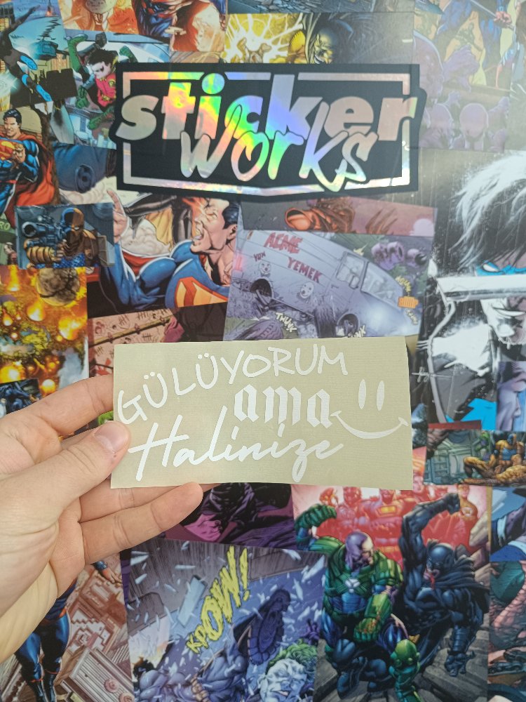 Gülüyorum Ama Halinize Sticker 