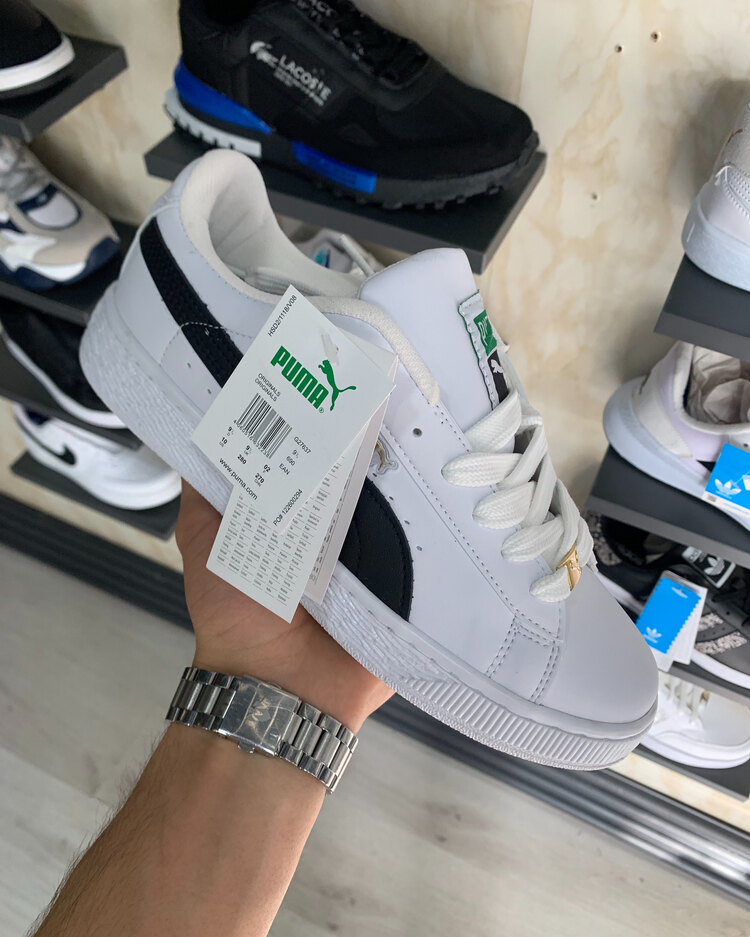Puma 