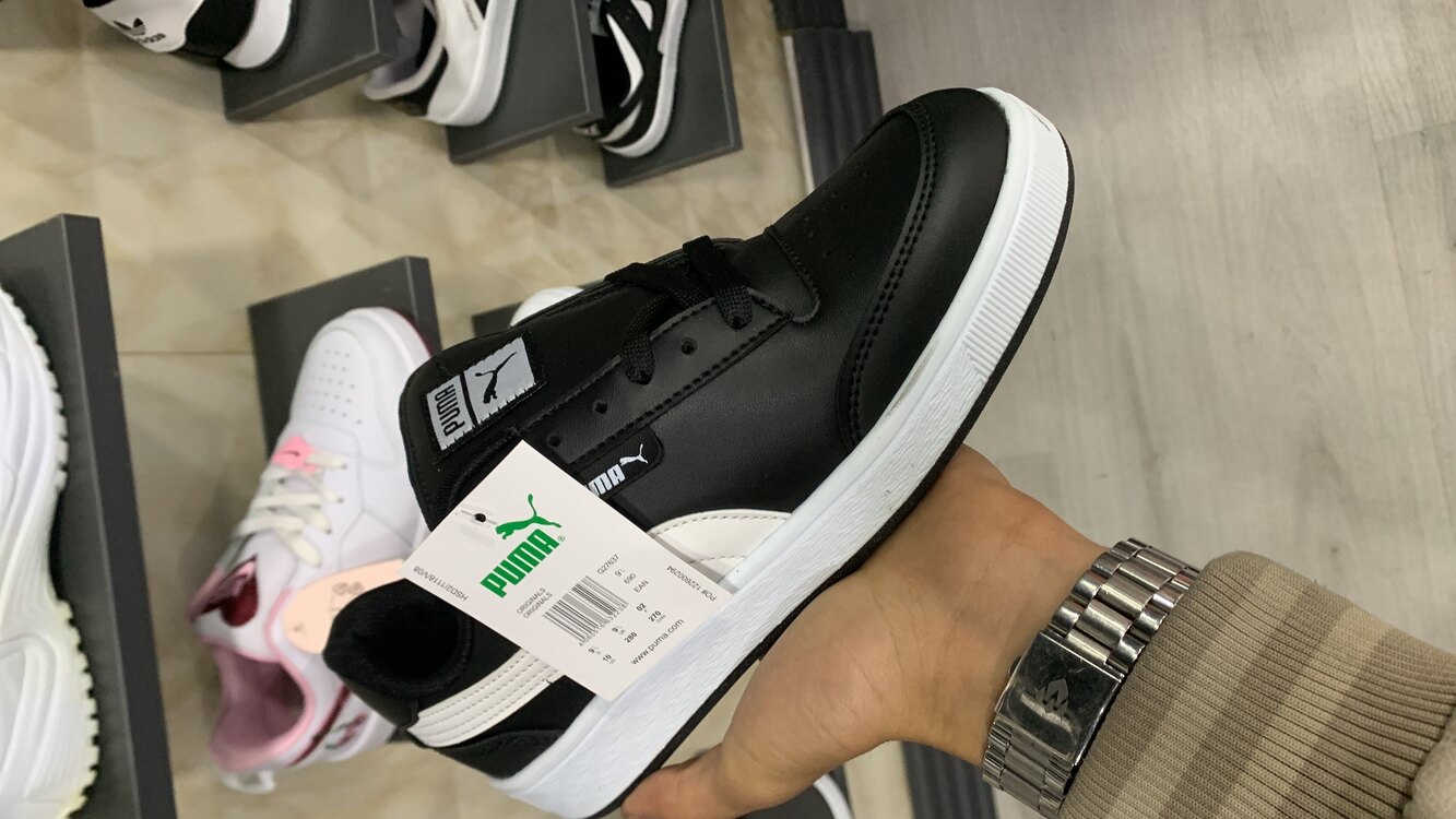 Puma 