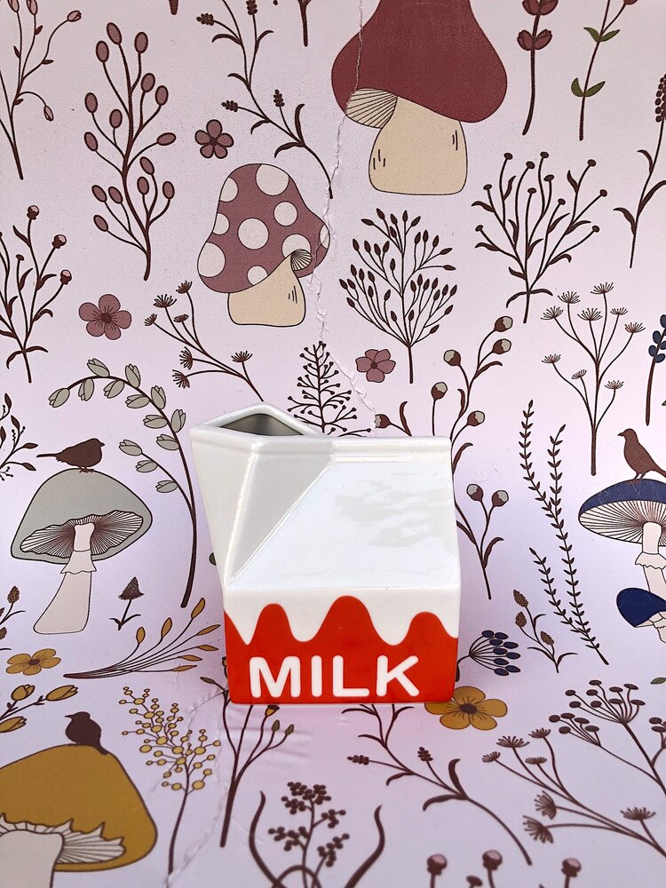 ‘Milk’ Sütlük