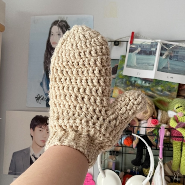 Mitten Eldiven