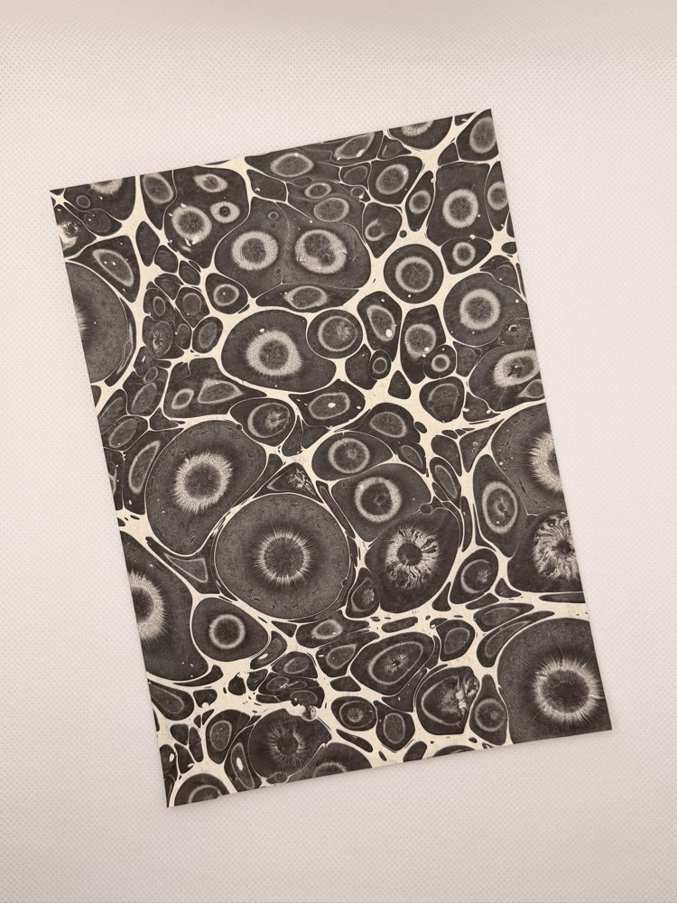 Ebru Scrapbook Paketi