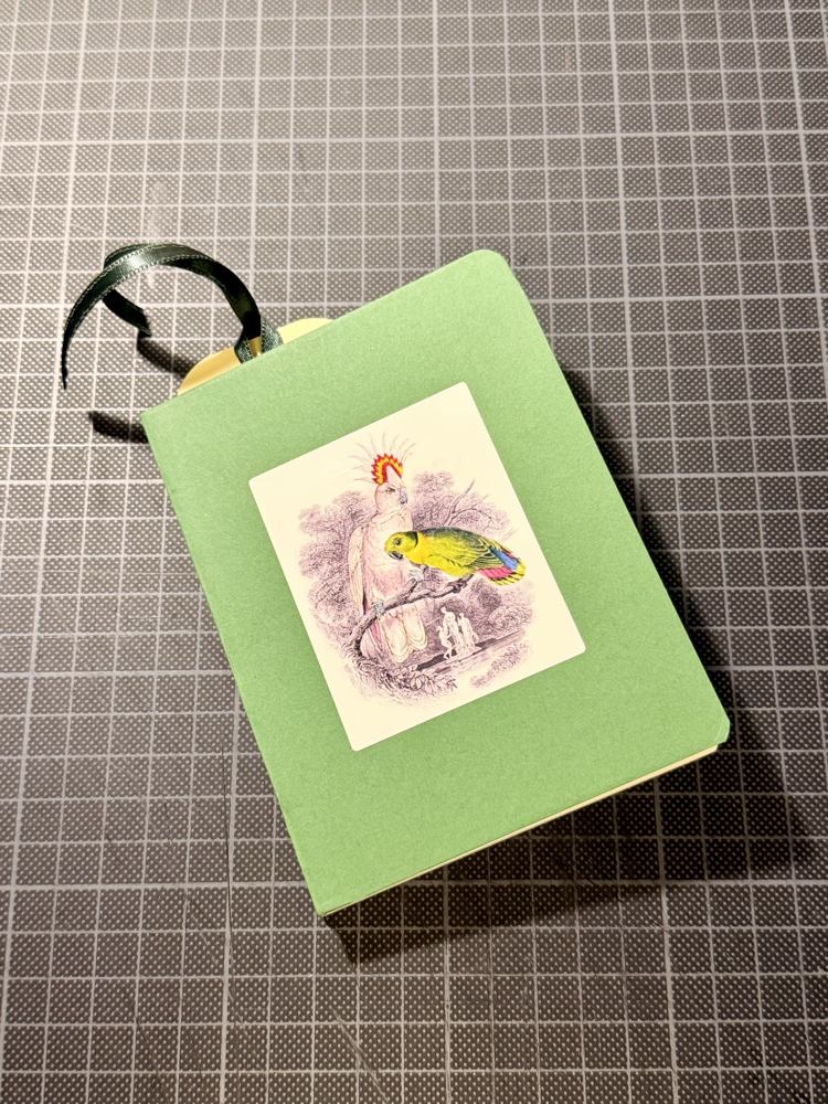 Cockatoo ve Lovebird