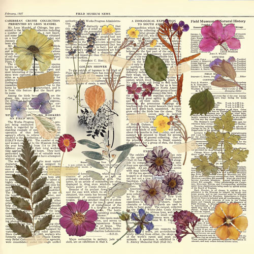 Scrapbooking kağıdı Seti Summer Botanical Story / "Fabrika Dekoru"