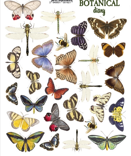 Sticker seti Butterfly #004