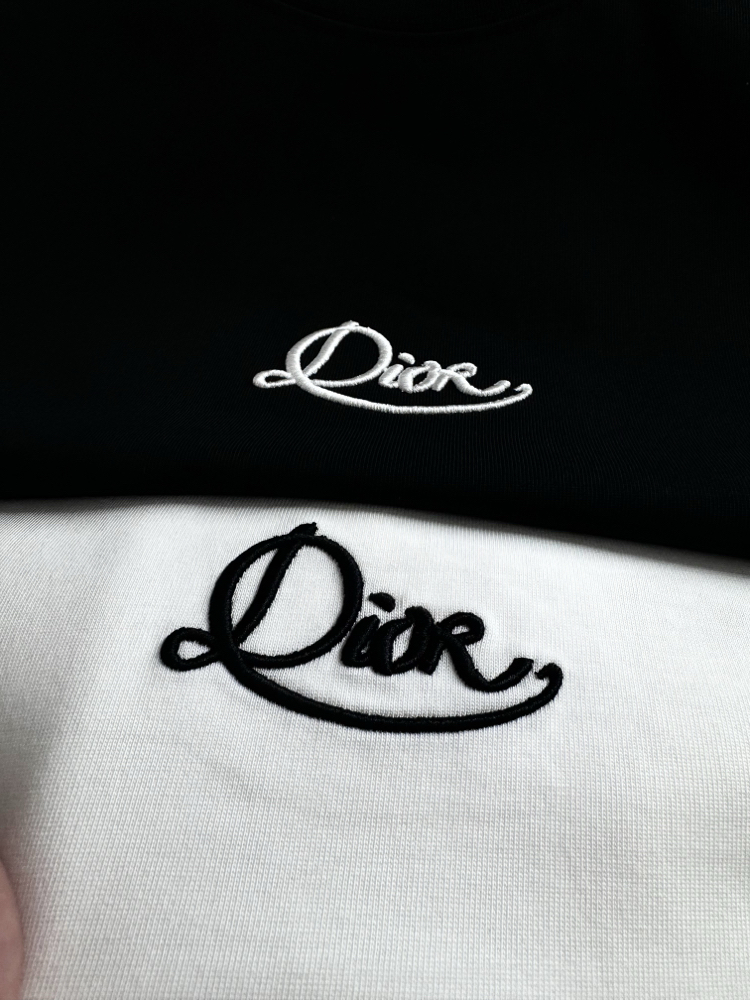 Dıor Two-Tone Ink Painting Print with Embroidery T-shirt