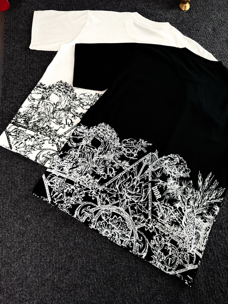 Dıor Two-Tone Ink Painting Print with Embroidery T-shirt